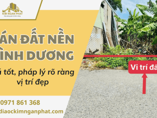 Bán đất nền Bình Dương – Giá tốt, pháp lý rõ ràng, vị trí đẹp