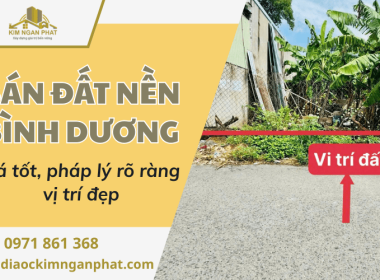 Bán đất nền Bình Dương – Giá tốt, pháp lý rõ ràng, vị trí đẹp
