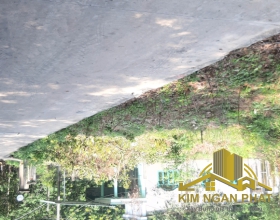 Bán Đất Ấp Cần Giăng Xã Thanh An Huyện Dầu Tiếng Bình Dương