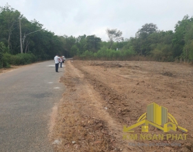 Bán Đất Mặt Tiền Đường Bầu Sen Khu Phố 6 Thị Trấn Dầu Tiếng Bình Dương