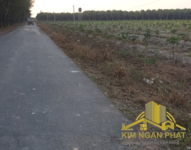 Đất Lớn Xã Phước Hòa Phú Giáo Bình Dương