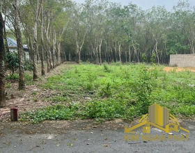 Bán Đất Mặt Tiền Đường Nhựa Chánh Phú Hòa | Diện Tích 200m² | Gần Chợ Chánh Lưu