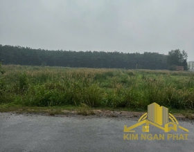 Bán 6.600m² đất sản xuất kinh doanh (SKC) Vĩnh Tân: Mặt tiền đường nhựa, trả tiền một lần đến 2042