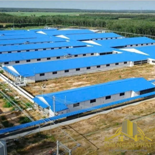 BÁN TRANG TRẠI HEO 2.400 NÁI – DÒNG TIỀN 825 TRIỆU/THÁNG – TÂN ĐÔNG, TÂN CHÂU, TÂY NINH