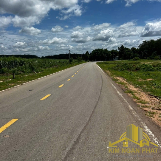 Giỏ hàng 12 lô đất diện tích lớn gần KCN Bàu Bàng: Quy mô từ 1.000m² đến 22.000m², giá đầu tư chỉ từ 2,2 tỷ/lô